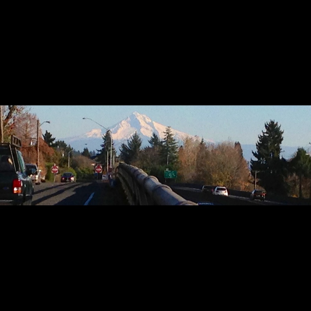 Meet your Posher, Astrid